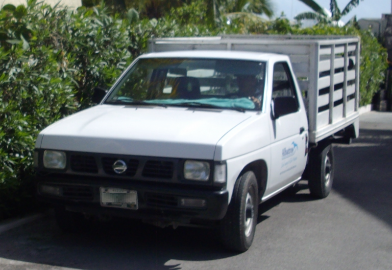 1993 Nissan Hardbody Truck for Sale