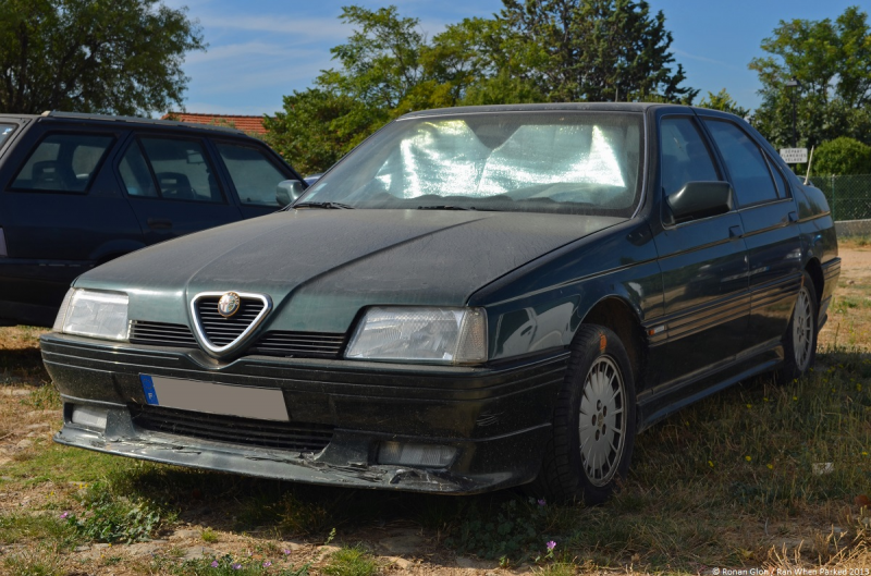Endangered species: Alfa Romeo 164