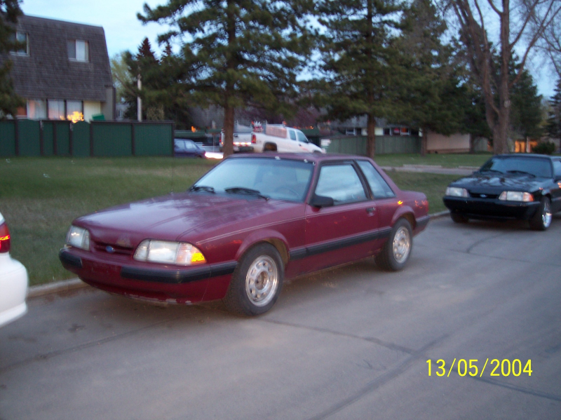 ... 1989 ford mustang lx picture view garage rob used to own this ford