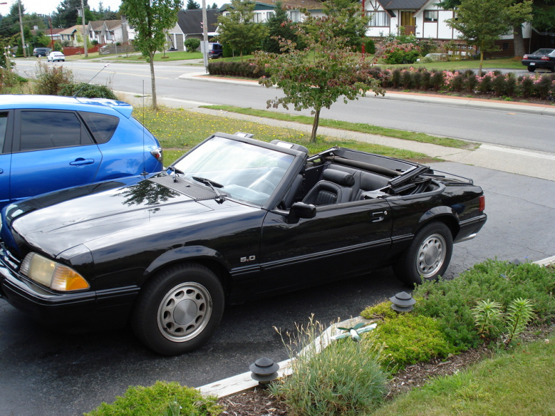 Picture of 1989 Ford Mustang LX 5.0L Convertible