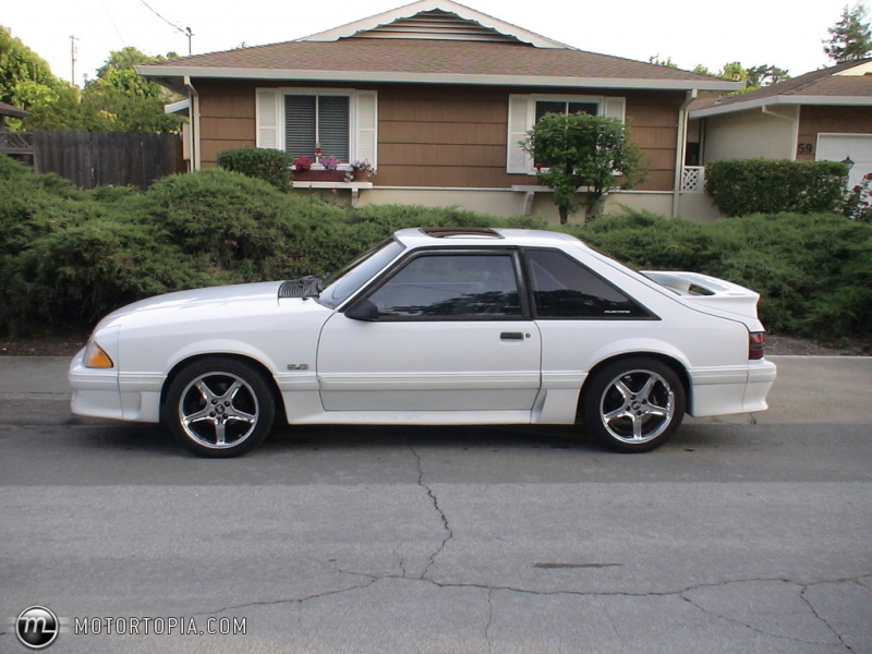 Photo of a 1990 Ford Mustang GT (Gringo)